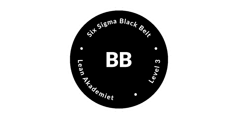 Lean Akademiet - Six Sigma Black Belt (moduluddannelse - 2 dage)